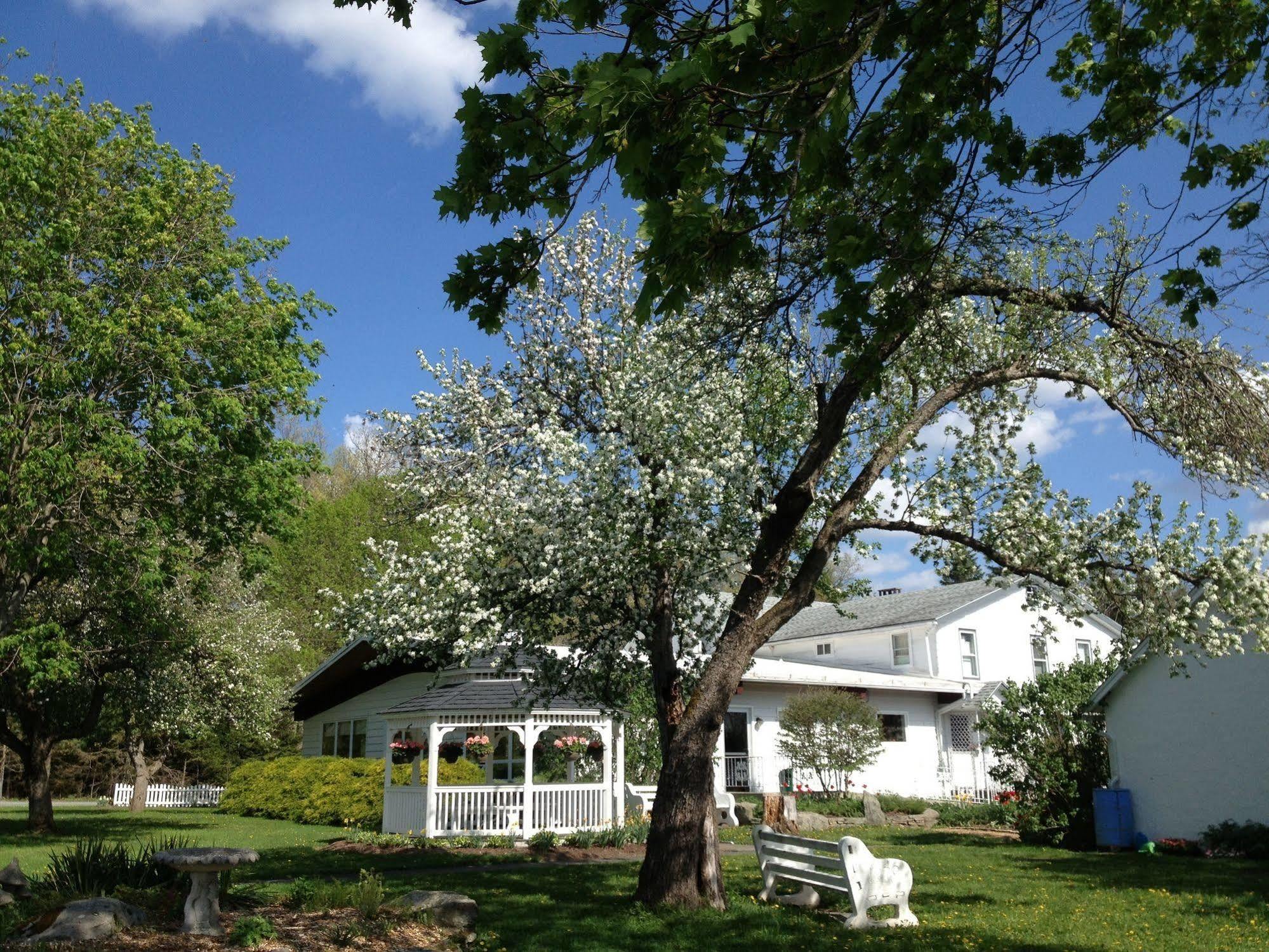 Lukans Farm Resort Hawley Eksteriør bilde